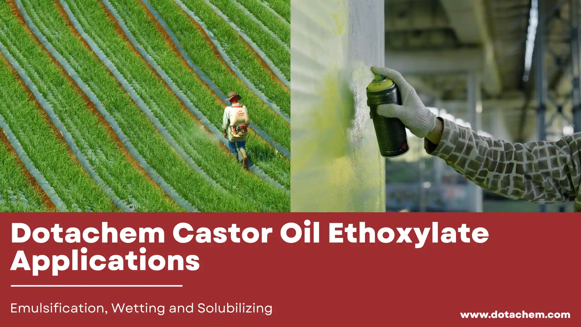 Dotachem Castor Oil Ethoxylate Aplikazioak Emultsionatzeko, Hezetzeko eta Disolbatzeko